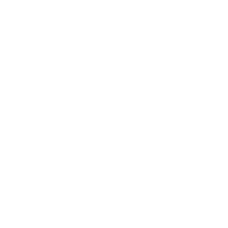server