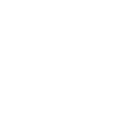 stretcher